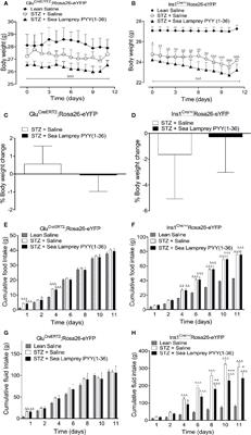 Positive Effects of NPY1 Receptor Activation on Islet Structure Are Driven by Pancreatic Alpha- and Beta-Cell Transdifferentiation in Diabetic Mice